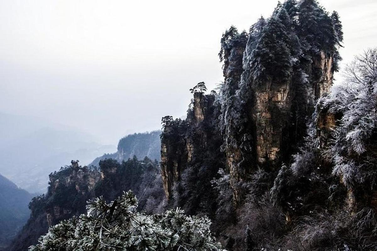 a rocky mountain with trees on top of it