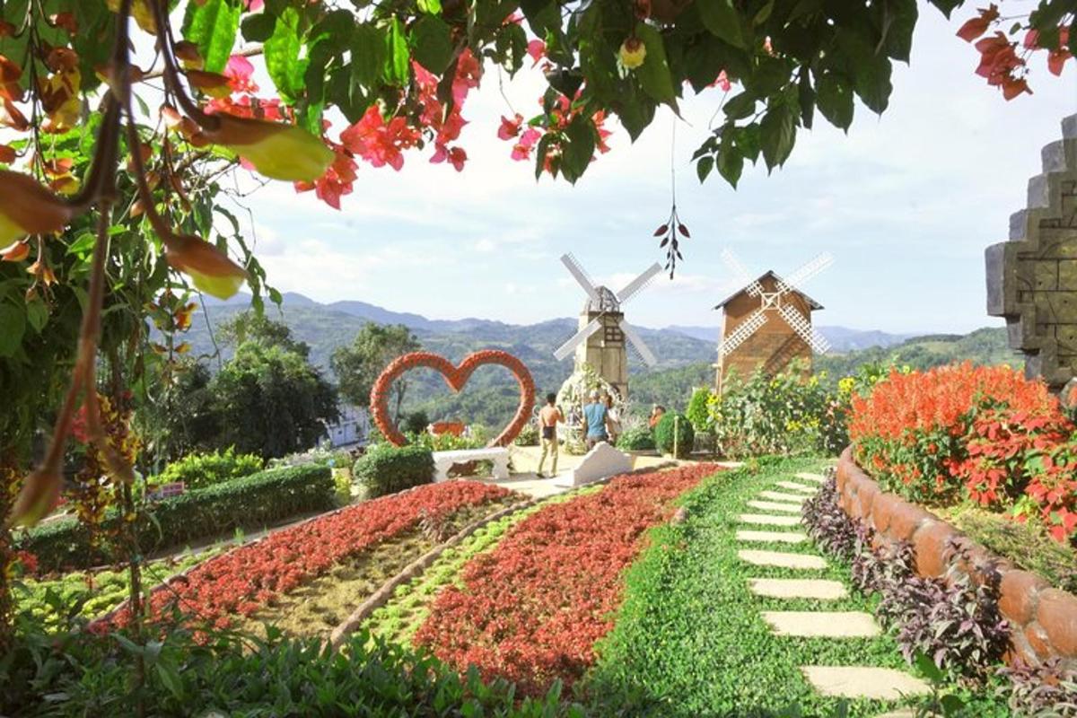 a garden with a windmill in the background