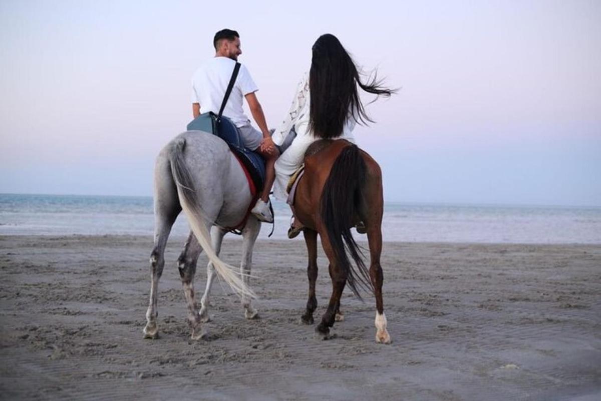 un home muntant a cavall a la platja