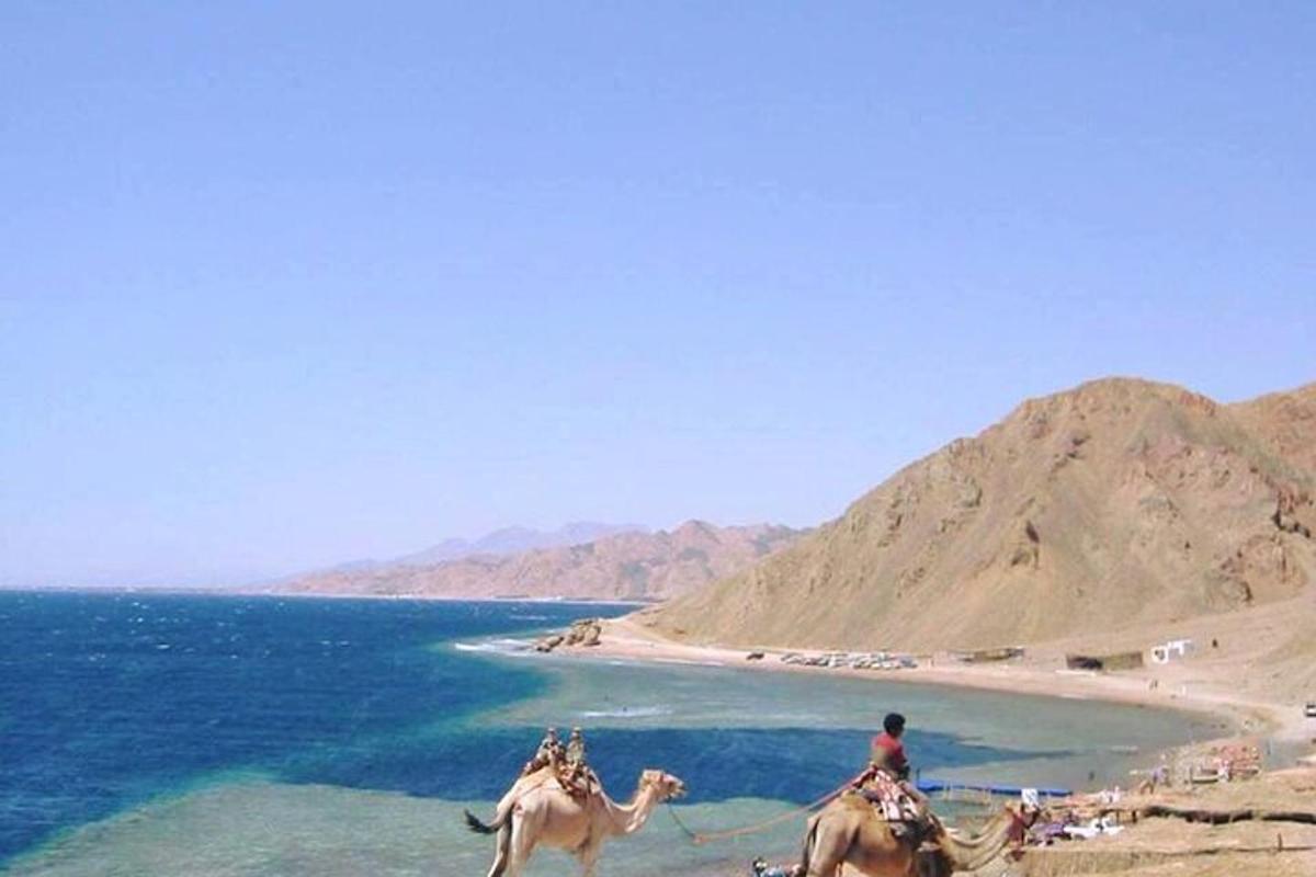 due persone a cavallo su una spiaggia vicino all'oceano