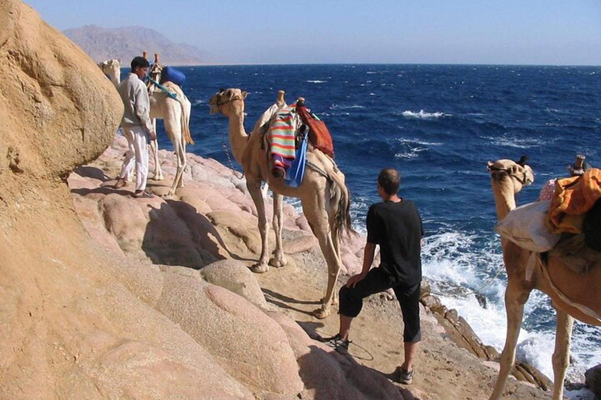 un gruppo di persone con cammelli sulle rocce vicino all'oceano