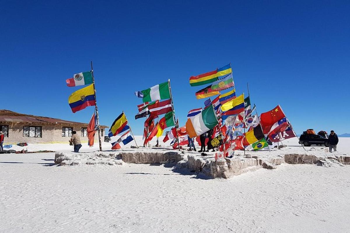 a group of flags on a sandy beach with people