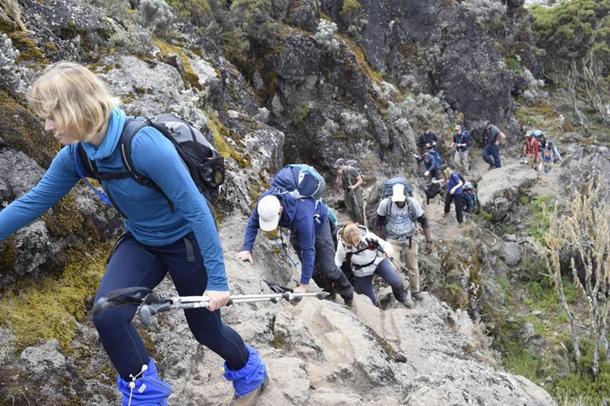 um grupo de pessoas caminhando em uma trilha na montanha