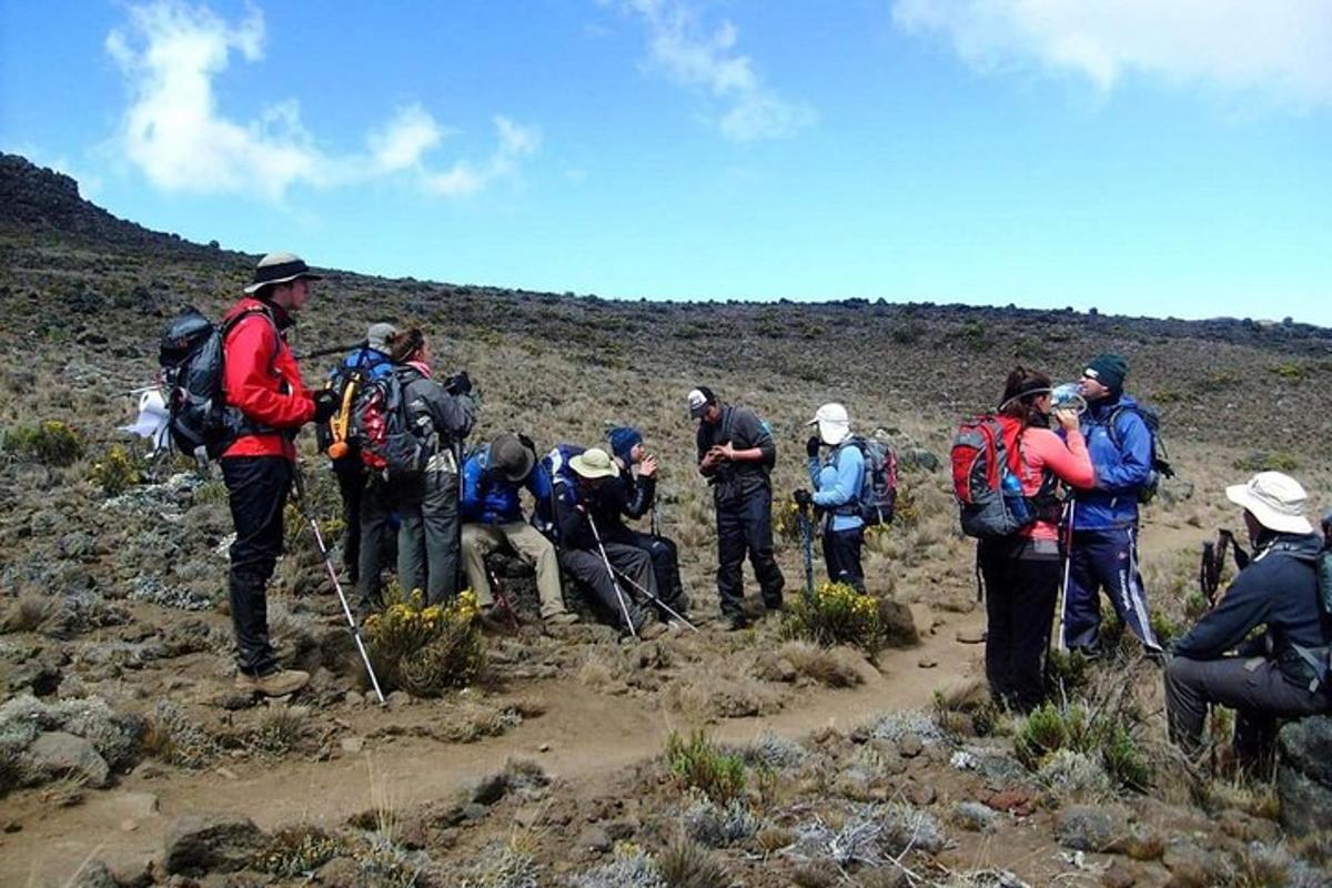 um grupo de pessoas está em pé em uma montanha