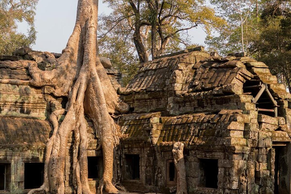un edifici amb arbres que creixen al costat