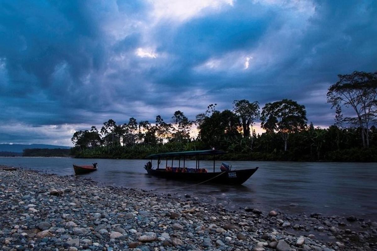 dois barcos sentados na margem de um rio