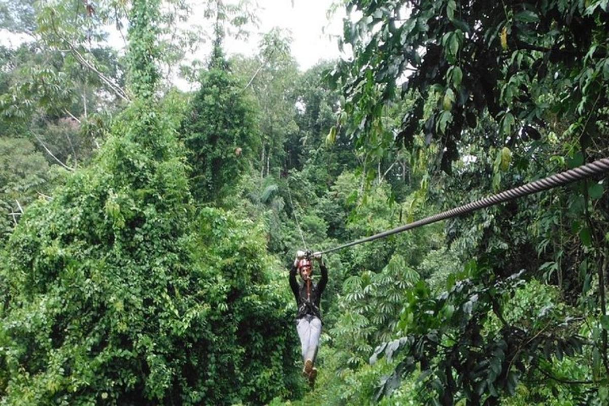 una persona su una teleferica tra gli alberi
