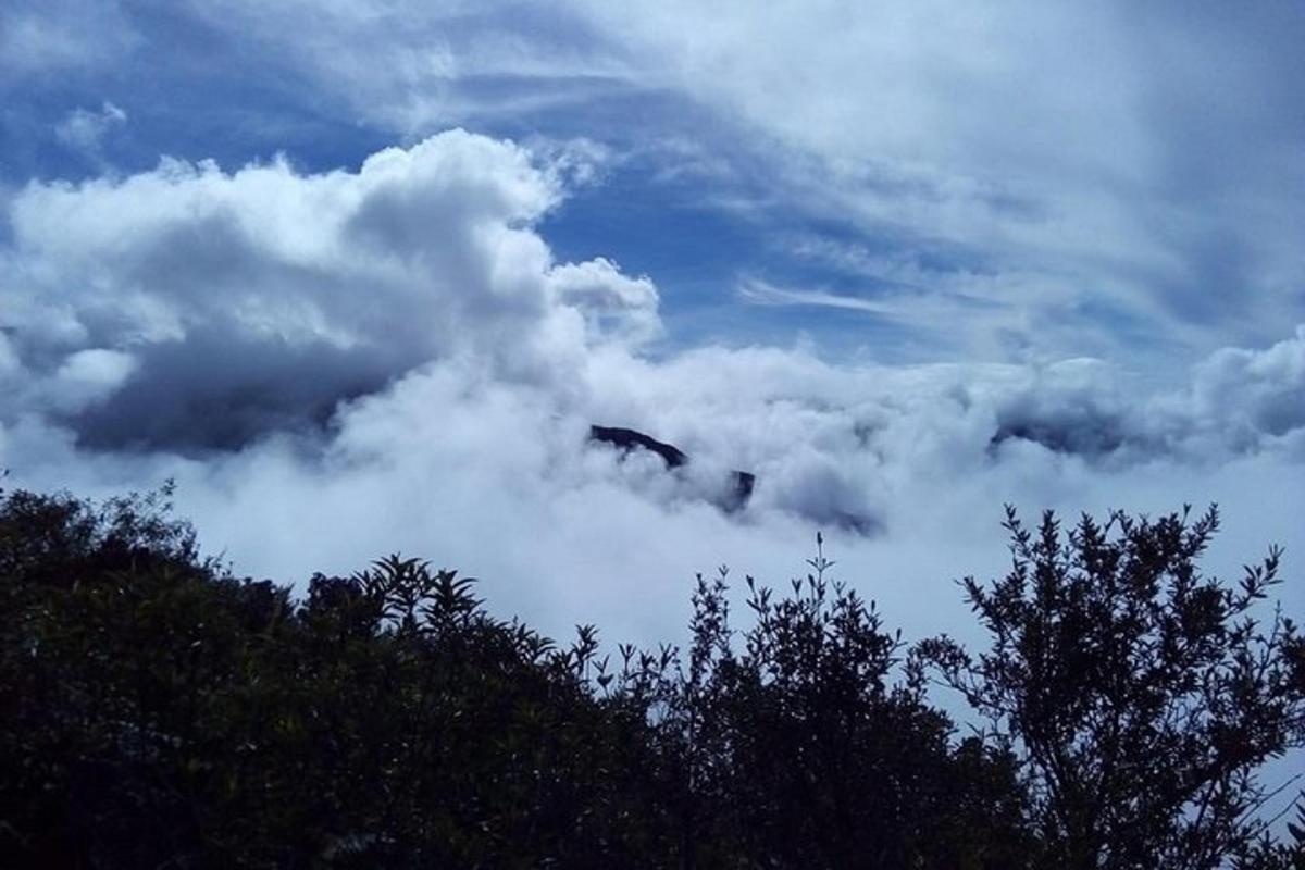 um monte de nuvens no céu com árvores