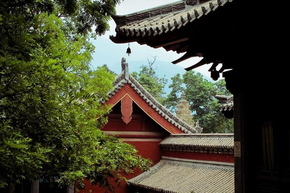 a close up of a roof of a building