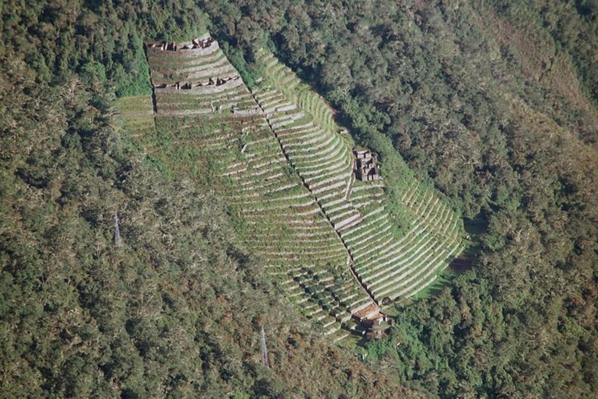 Αεροφωτογραφία ενός αμφιθεάτρου σε ένα δάσος