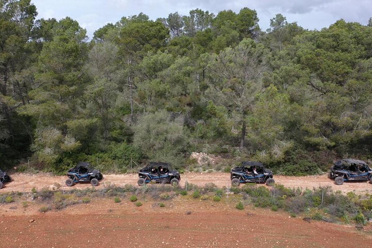 Un grupo de cuatro vehículos estacionados en un campo