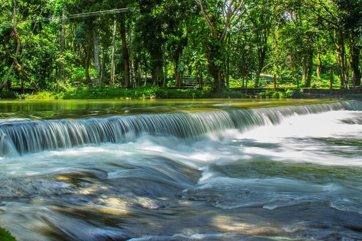 a waterfall in a river with trees in the background