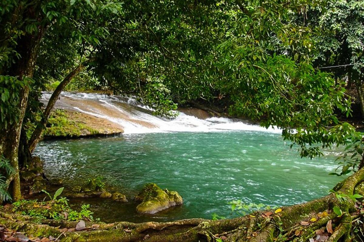 a river with a waterfall in the middle of a forest