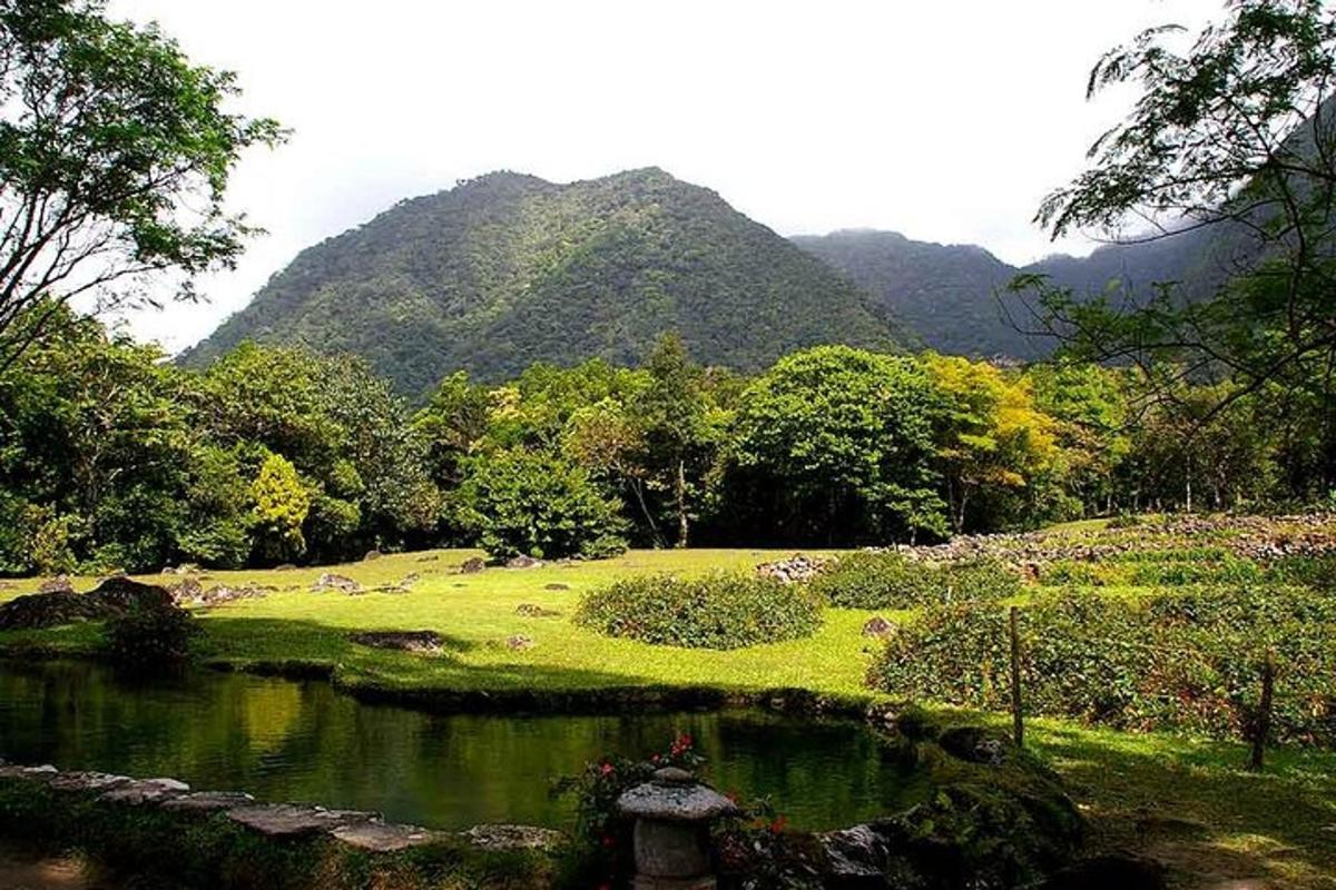 un giardino con uno stagno e le montagne sullo sfondo