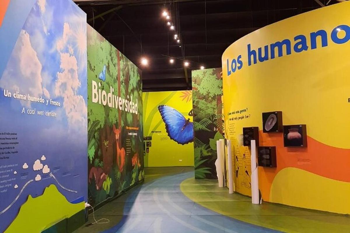 en utstilling på et museum med en sommerfugl på