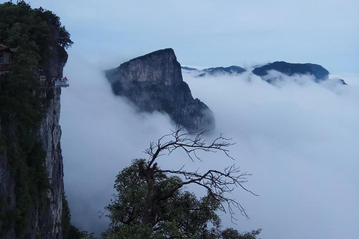 a mountain in the clouds with a tree in the foreground