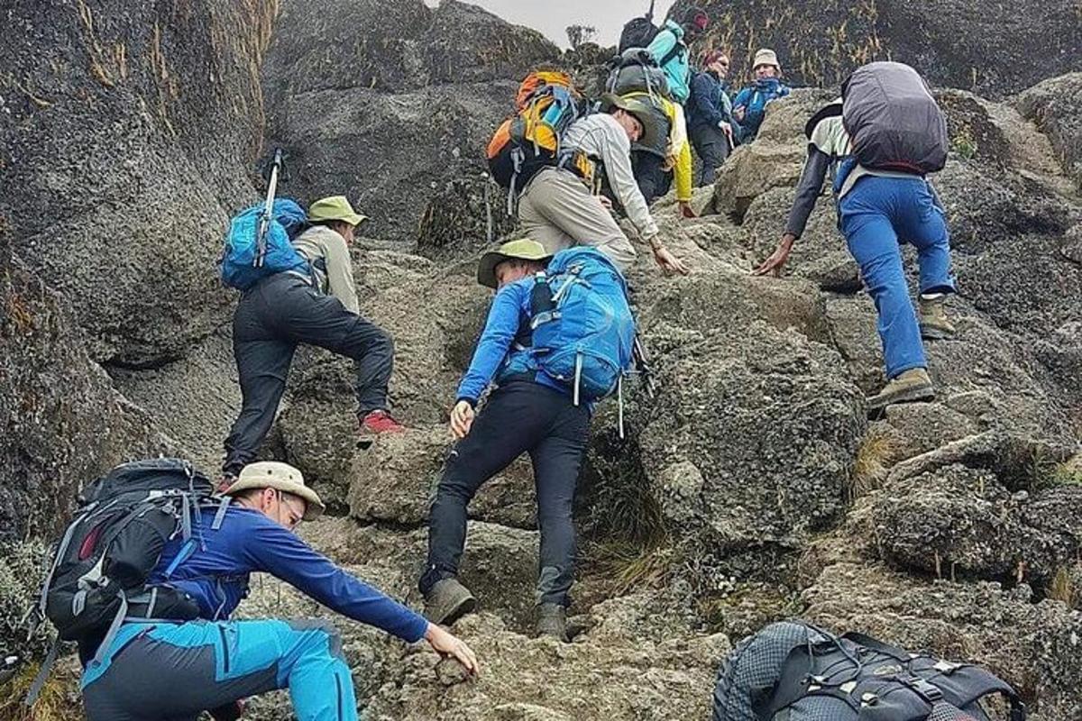 một nhóm người đang đi trên đá trên núi