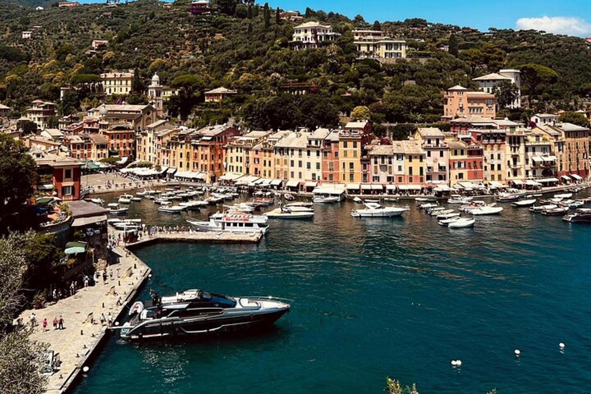 un gruppo di barche attraccate in un porto con edifici