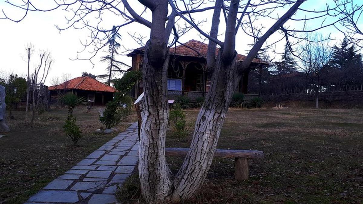 una panchina seduta accanto a un albero accanto a una casa