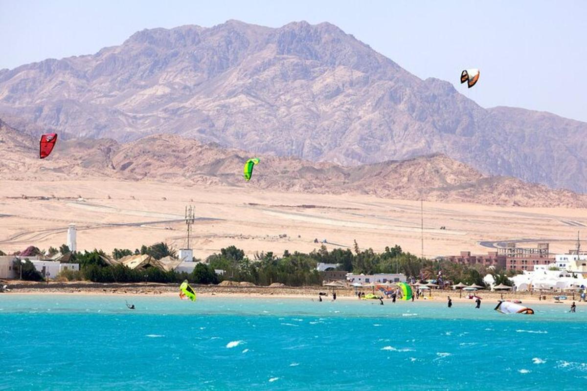 a group of people flying kites on a beach