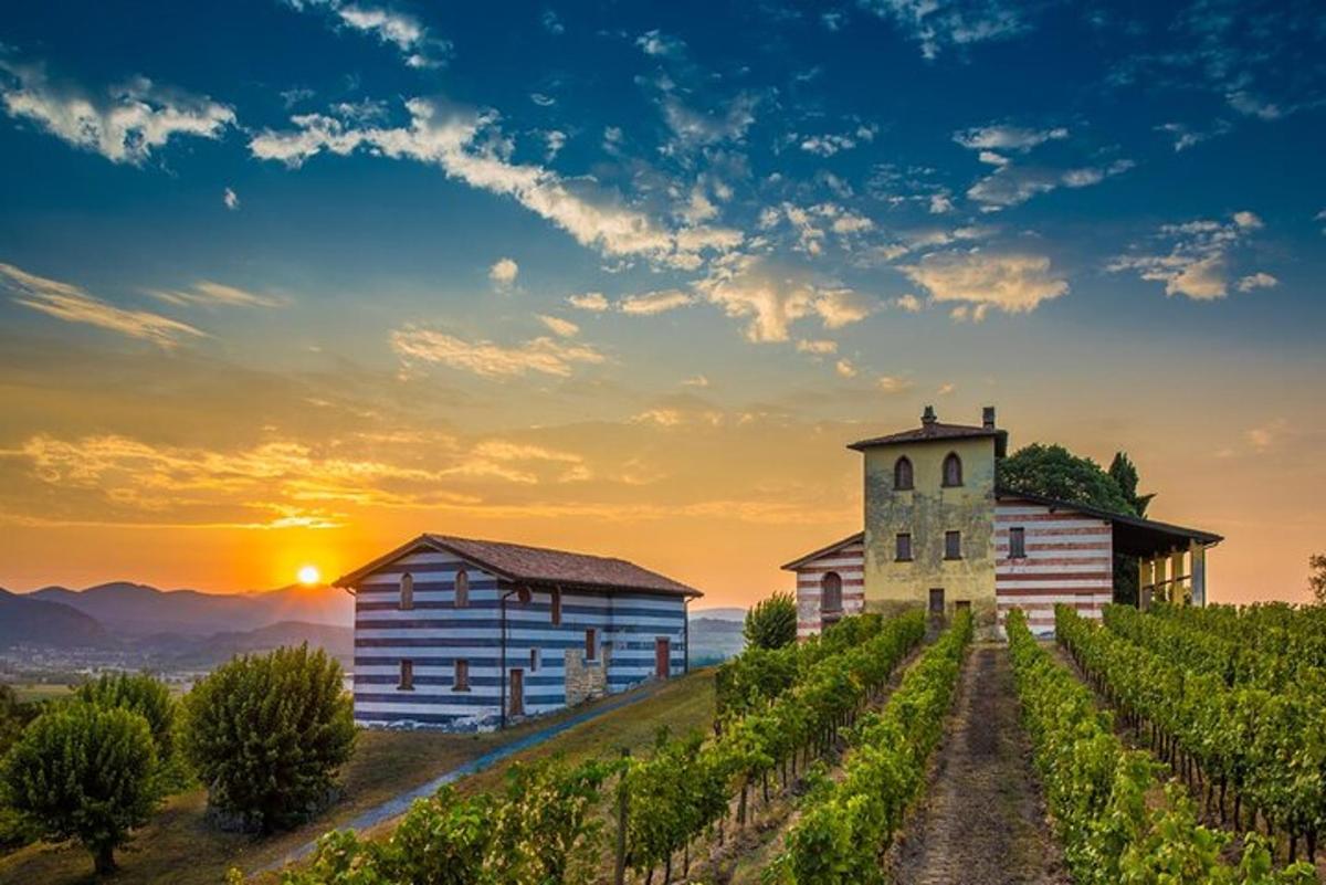 Západ slunce nad vinicí se dvěma stodolami a kostelem