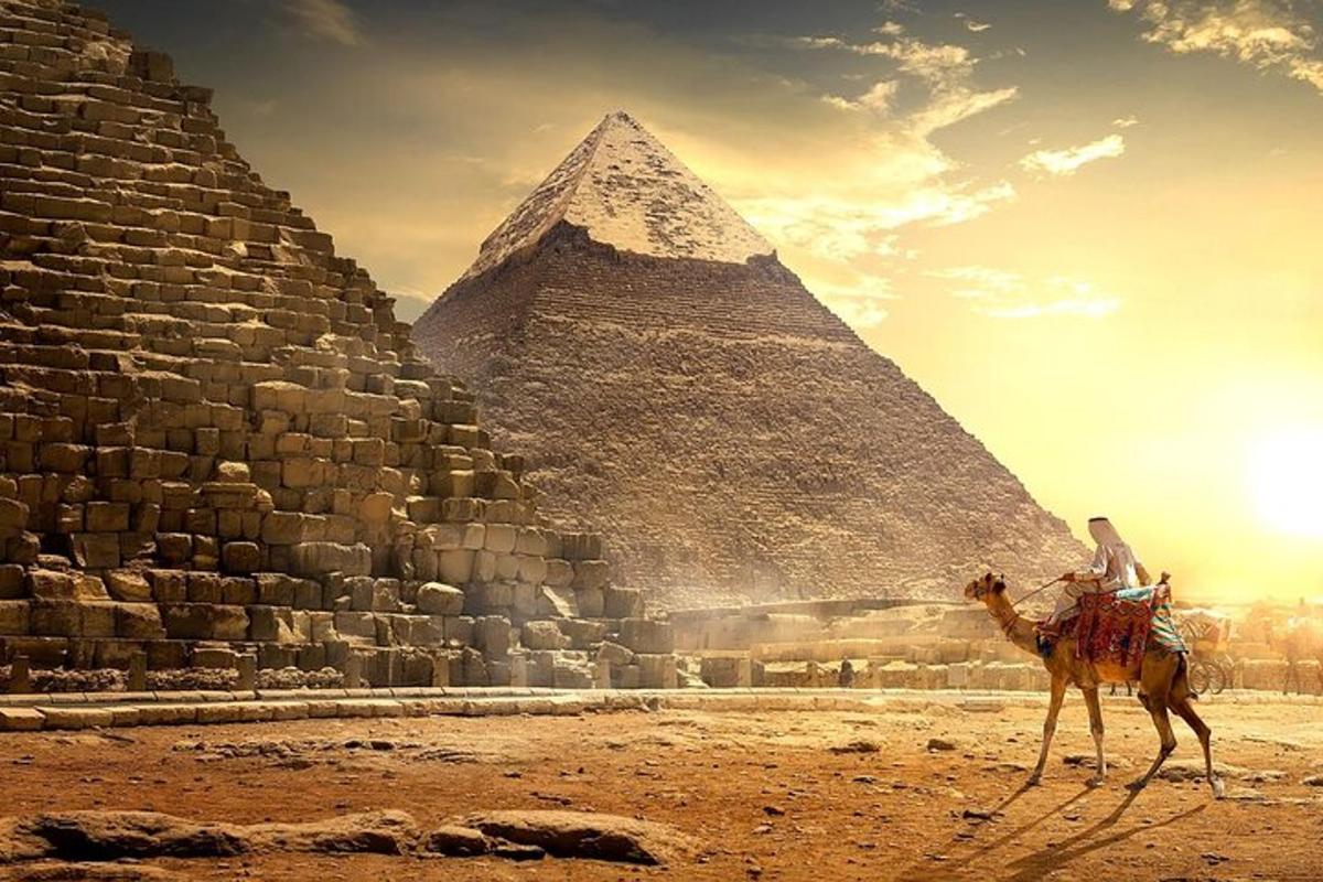 ein Kamel, das vor den Pyramiden steht
