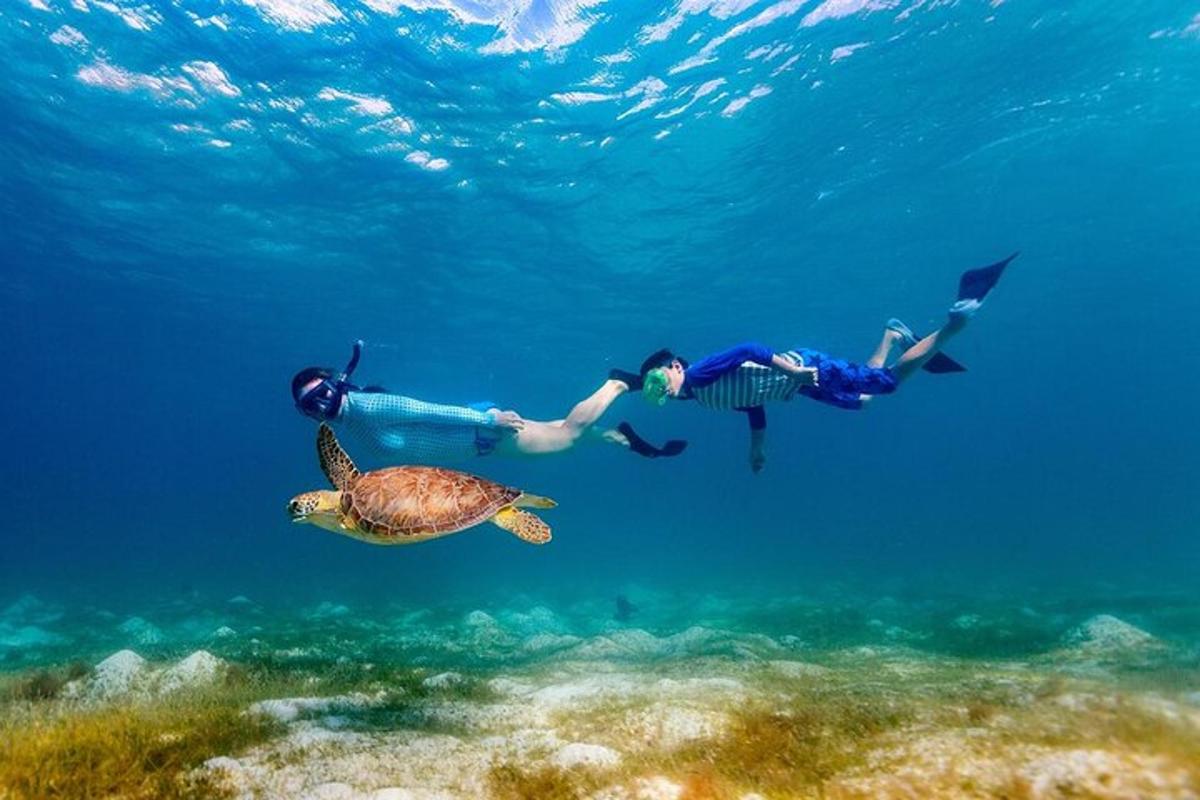 Dva lidé plavou v oceánu s želvou