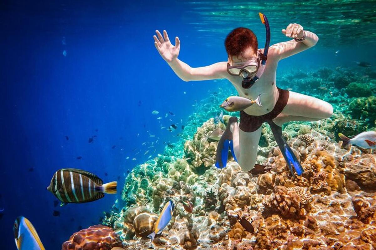 žena plave přes korálový útes s rybami