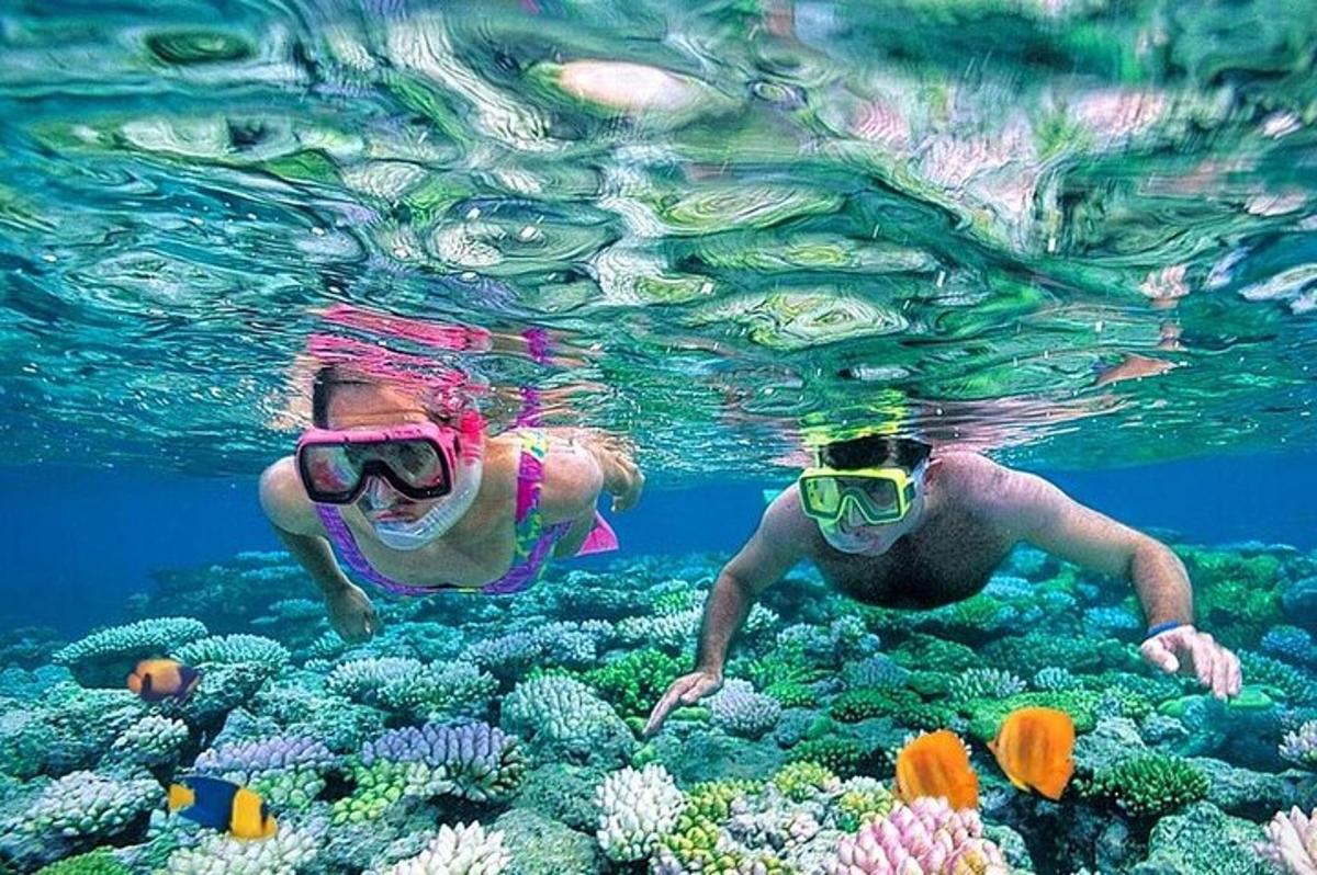 two people are swimming over a coral reef
