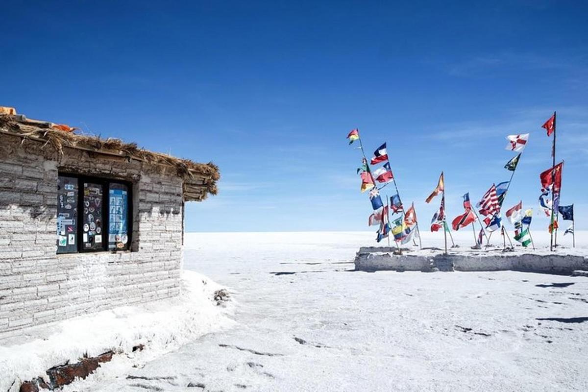 a group of flags in the snow next to a building