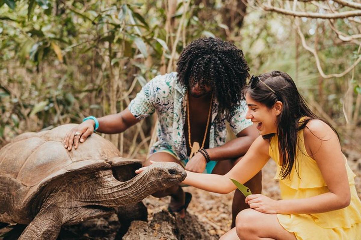 seorang lelaki dan seorang gadis membelai anak gajah