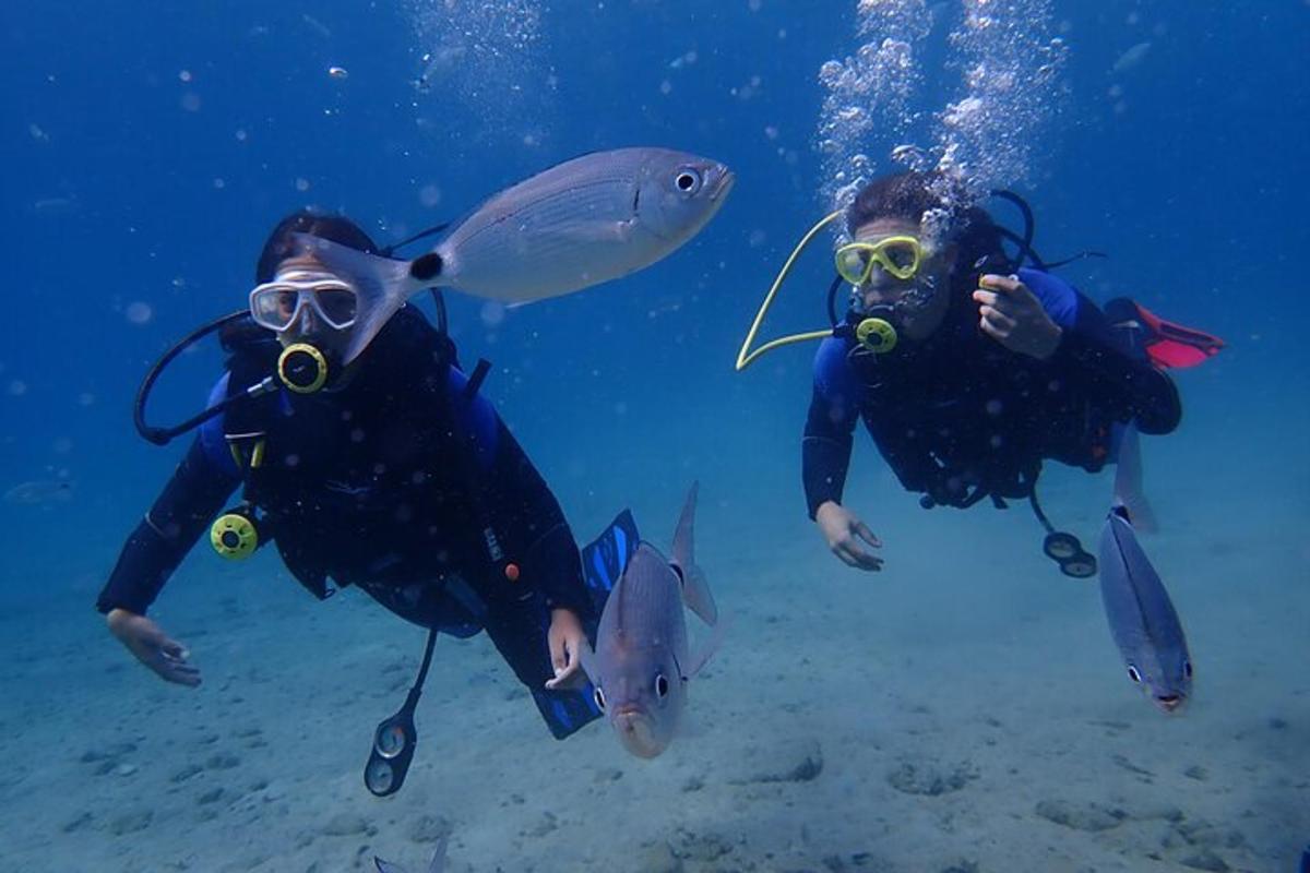 a group of people in the water with fish
