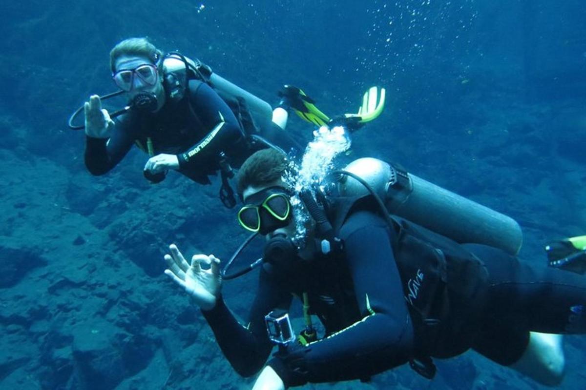 two people are diving in the water