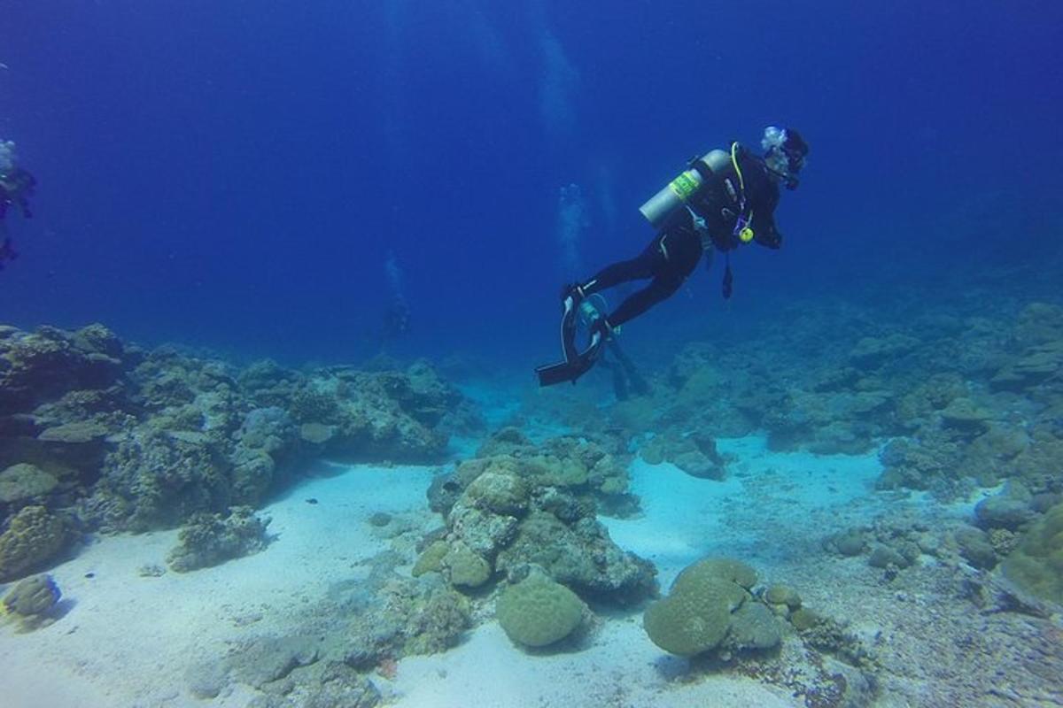 a person in the ocean looking at the reef