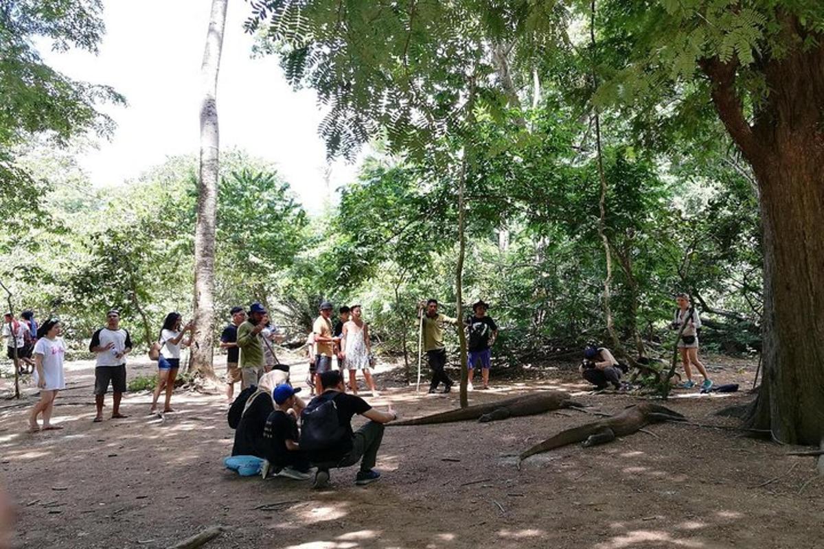 a group of people standing around in a forest