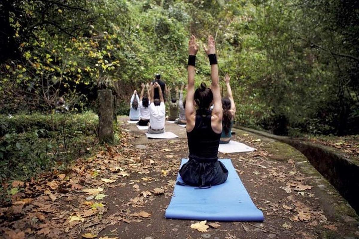 un gruppo di persone che fa yoga nei boschi