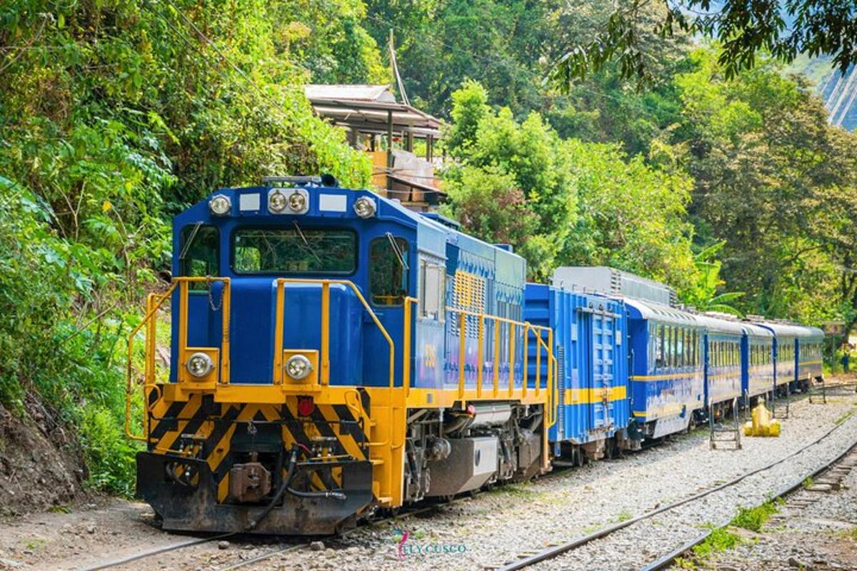 một đoàn tàu màu xanh và vàng đang chạy trên đường ray
