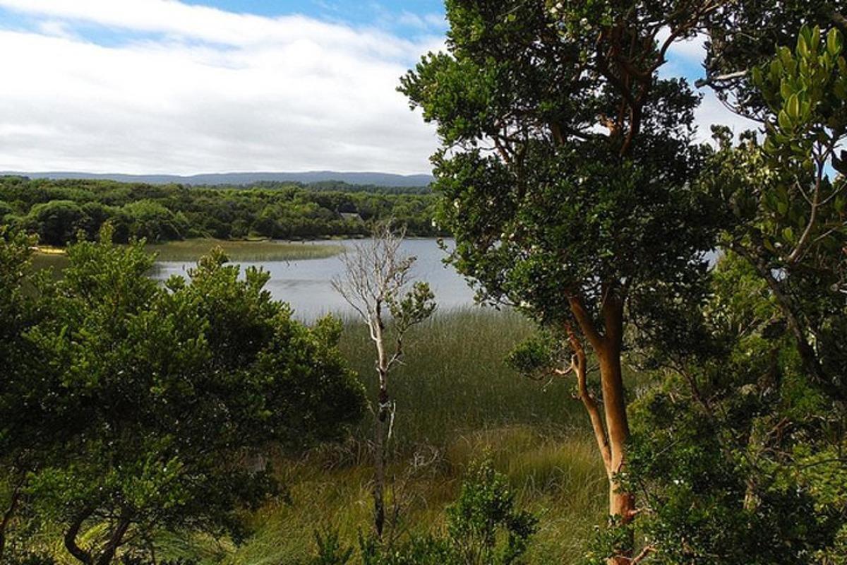 una vista di uno specchio d'acqua con alberi