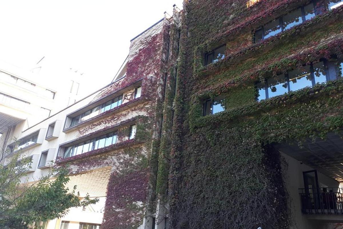 Un viejo edificio de ladrillo con hiedra en el costado.