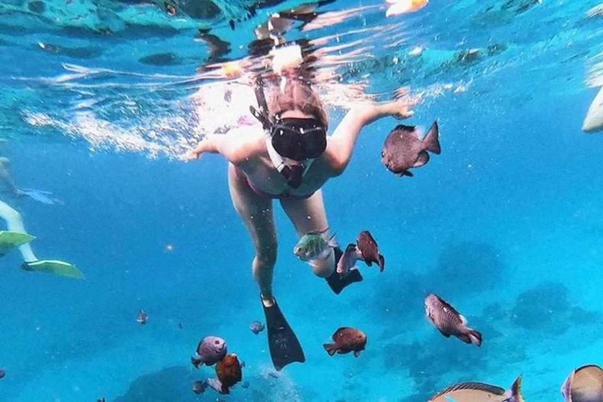 a woman is swimming in the water with fish