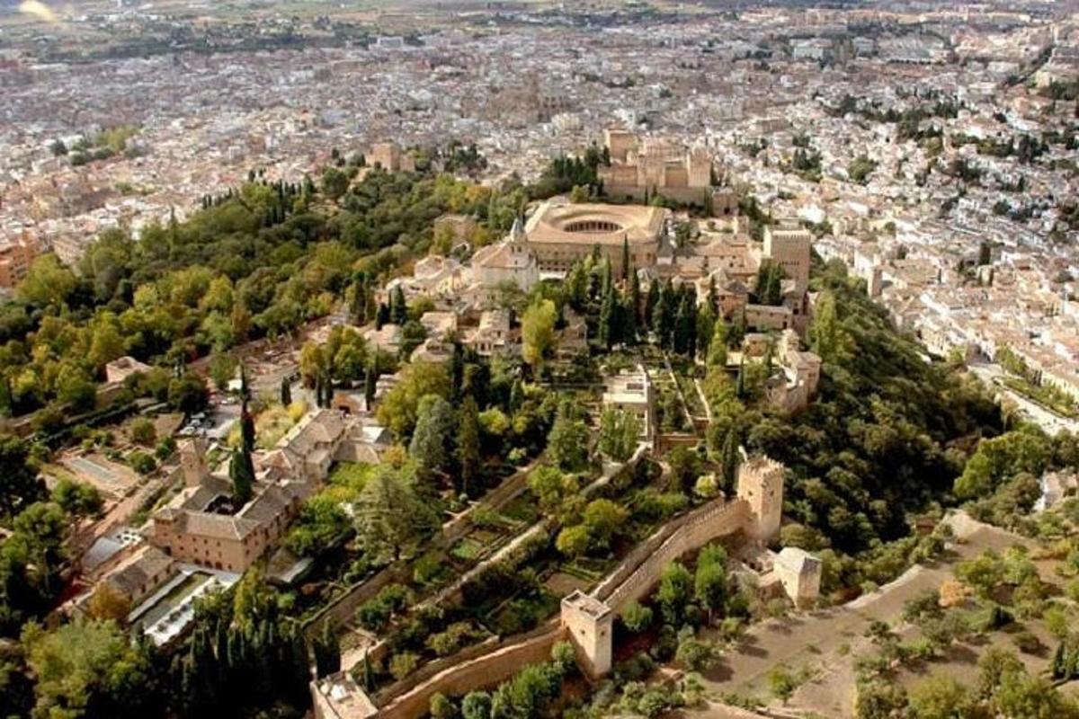 una vista aerea di una città con alberi ed edifici