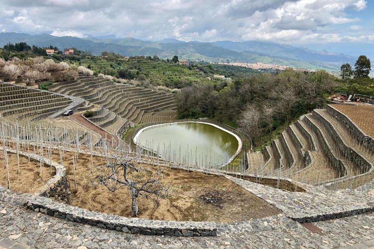 un anfiteatro vuoto con uno stagno al centro