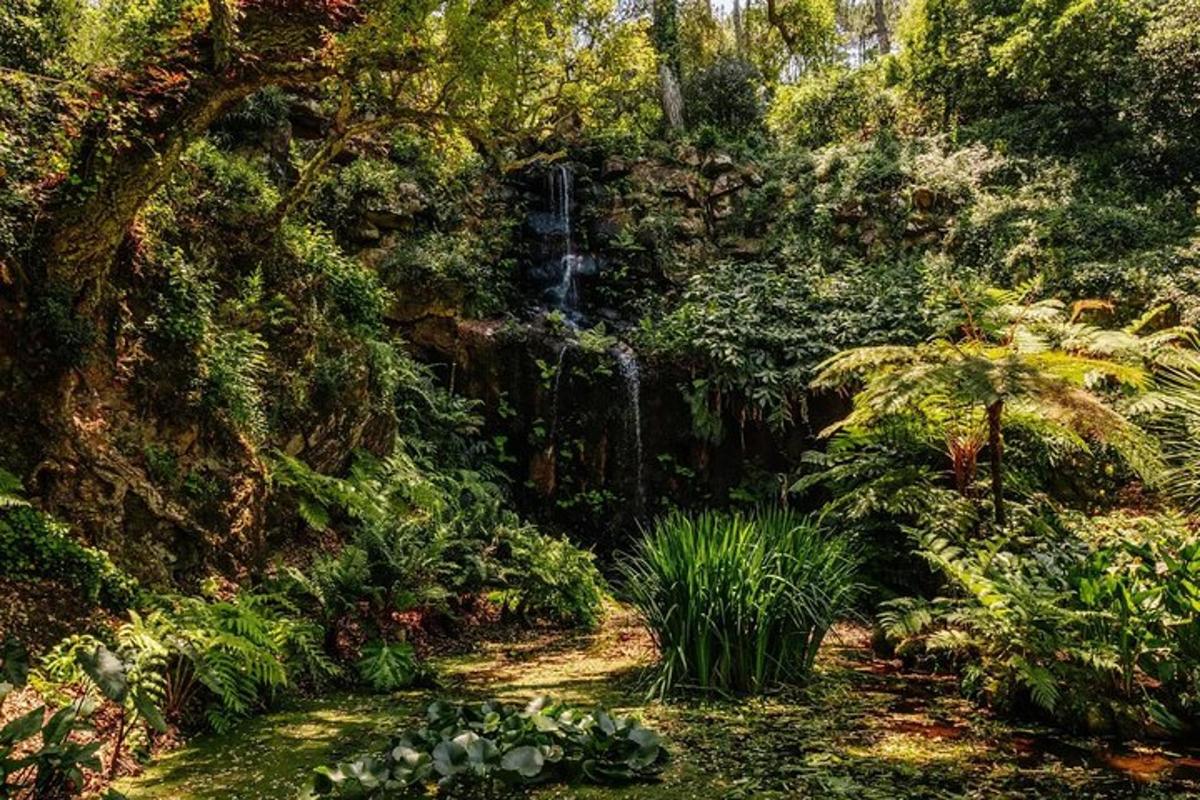 a painting of a waterfall in a forest