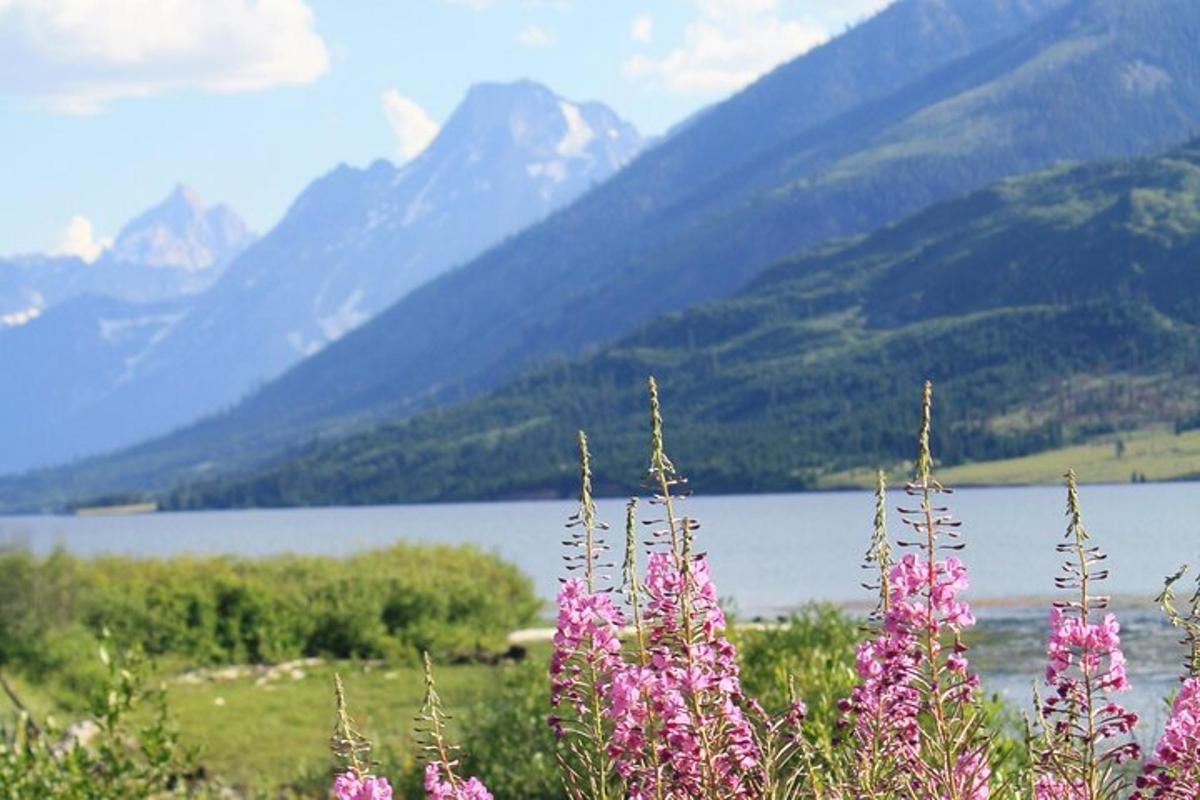 un mazzo di fiori rosa davanti a un lago