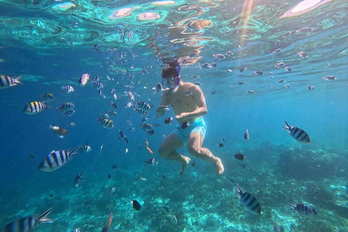 un hombre nadando en el agua con peces