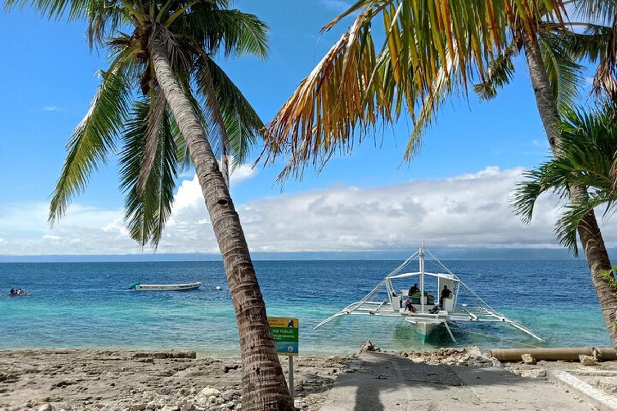 a boat on the beach with two palm trees