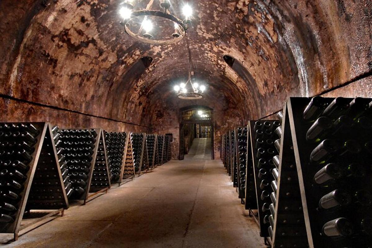 una cantina con una fila di bottiglie di vino