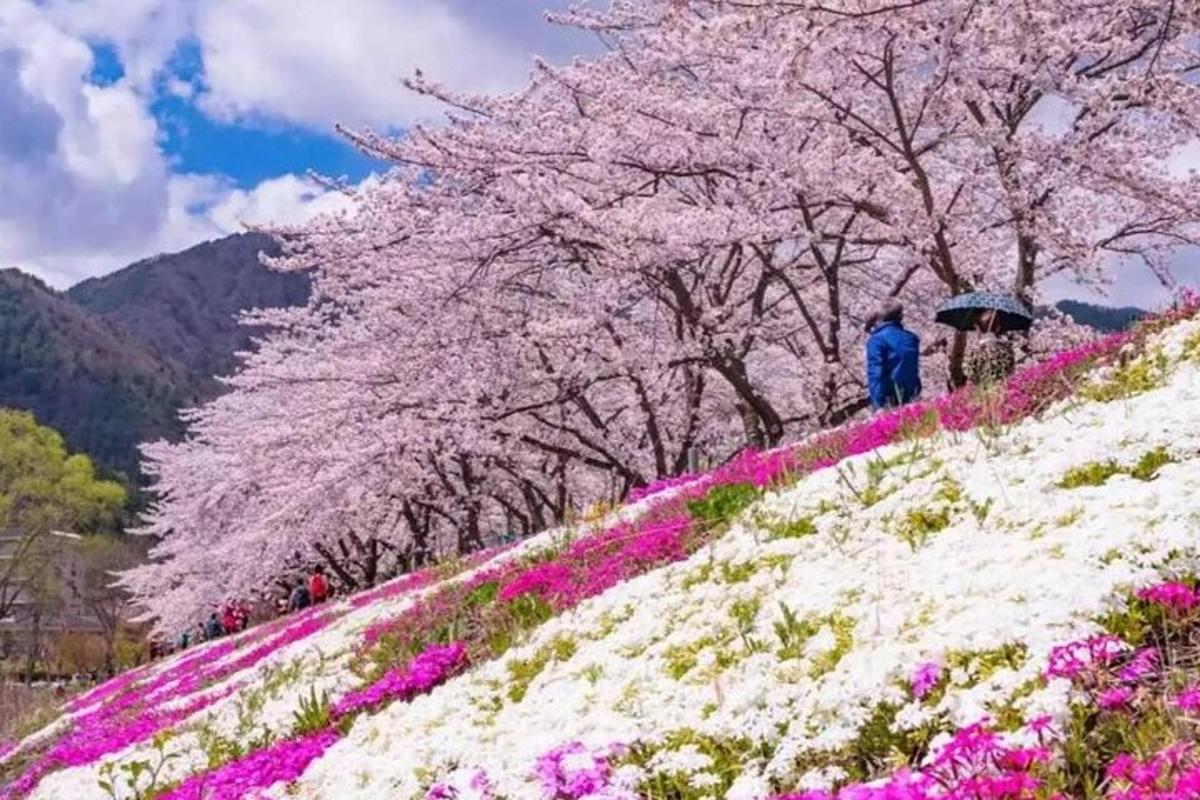 Un grupo de personas caminando por una colina con flores.