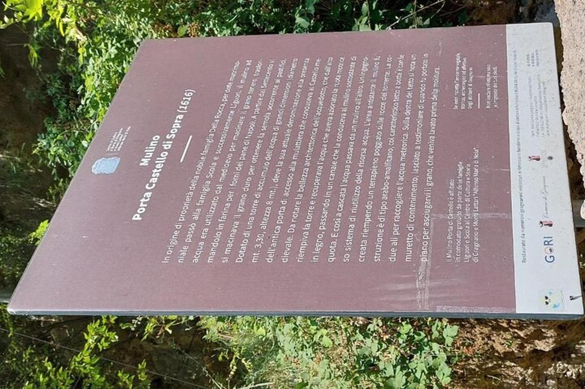 ein Buch liegt auf einem Felsen