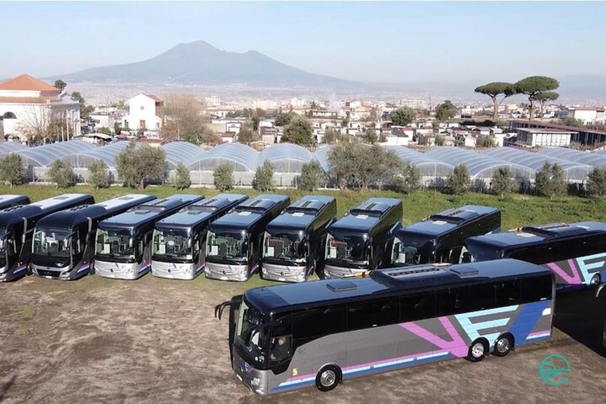 un rând de autobuze parcate pe un câmp